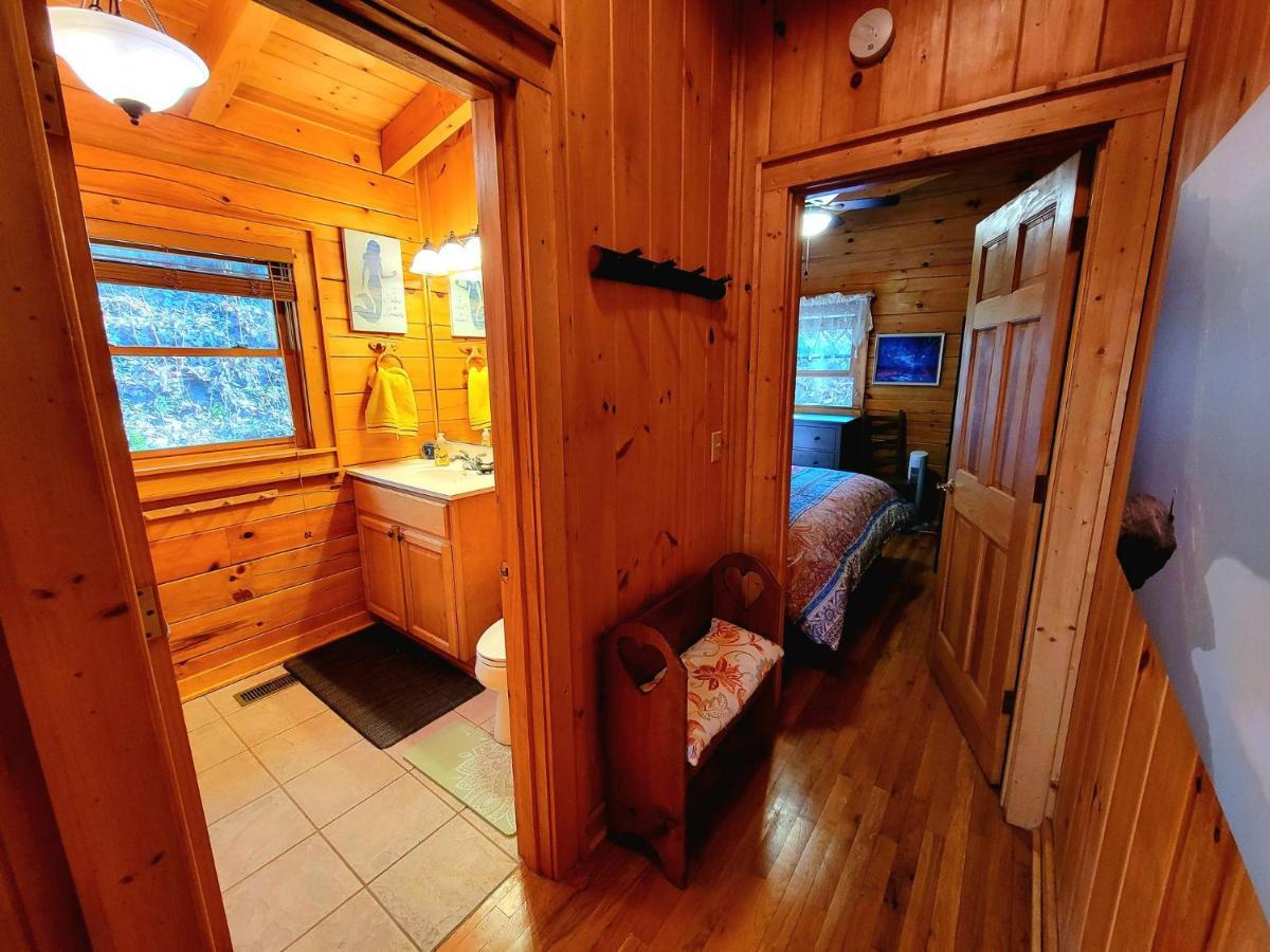 The Little Wolf Cabin Maggie Valley Ngoại thất bức ảnh