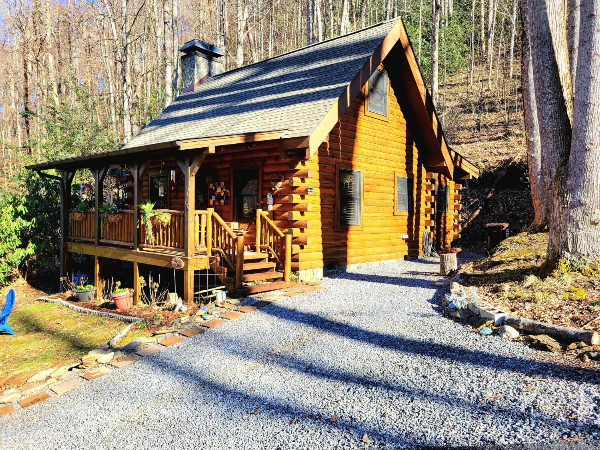 The Little Wolf Cabin Maggie Valley Ngoại thất bức ảnh